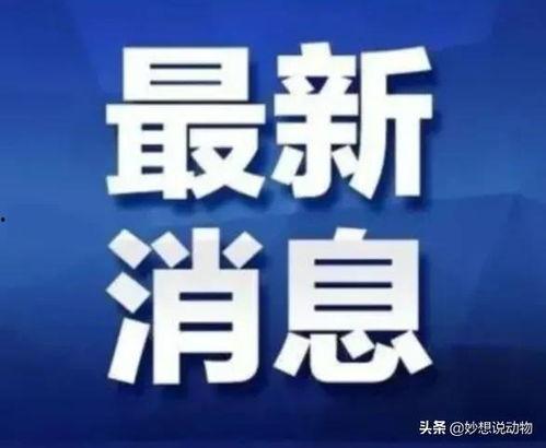 广西热视爆料最新消息新闻,最新突发新闻事件回顾 第1张 广西热视爆料最新消息新闻,最新突发新闻事件回顾 第1张
